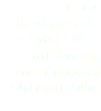 Precitec Imageprospekt CMYK + Weiss mit Stanzung und Prägung auf Chromolux-Silber